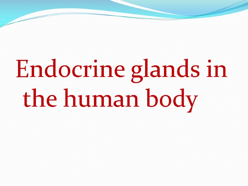 Endocrine glands in the human body